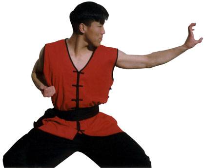Kung Fu Uniforms | Fuji Mae New Zealand