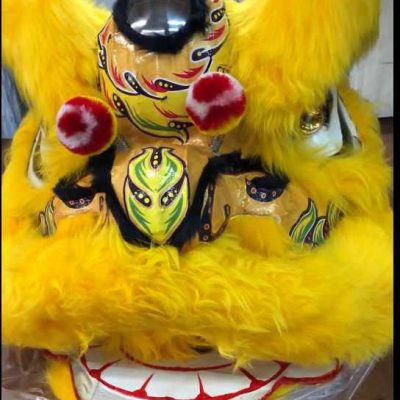 Hong Kong Style Lion Dance Head/Tail (Style SL-12AG Gold/Gold)