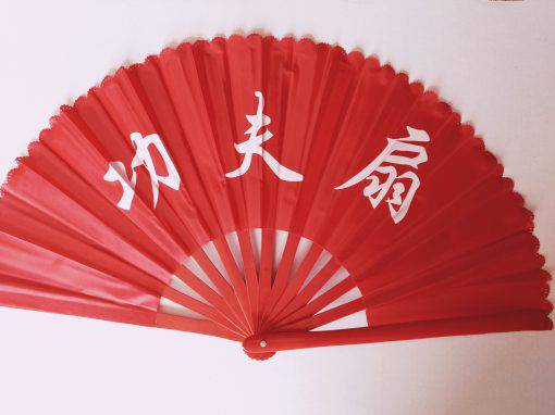 Tai Chi Fan