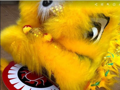 Small Children Lion Dance Head (Style SL-03Y)