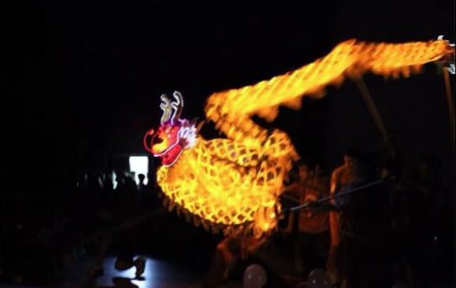 LED Light Gold Dragon Dance for 9 People (Style SD-09C) - Image 2